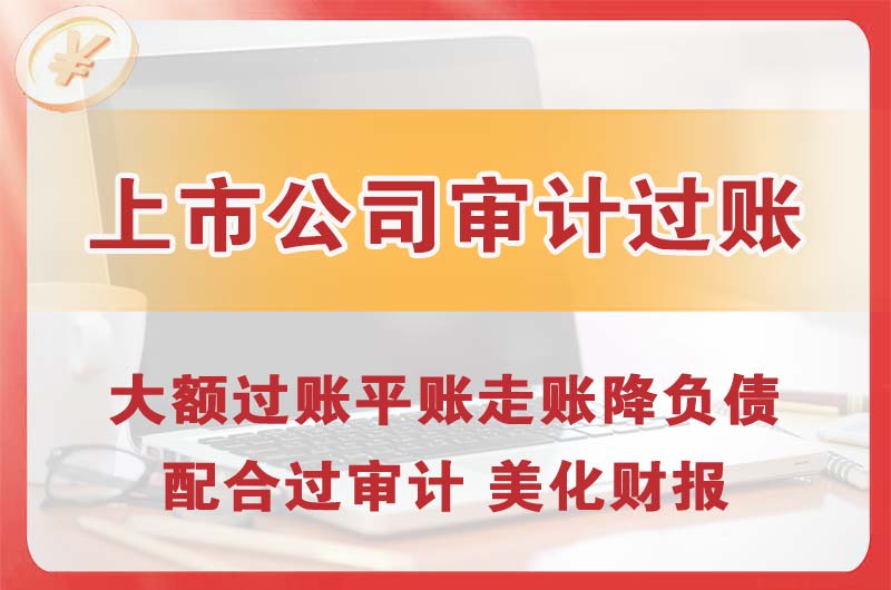 法库上市公司审计过账